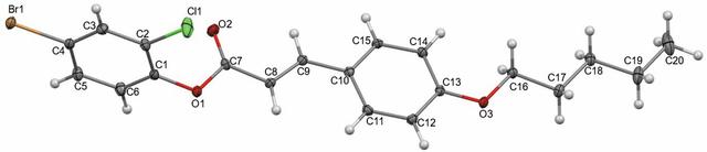 [Figure 1]