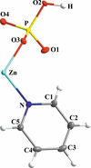[Figure 1]