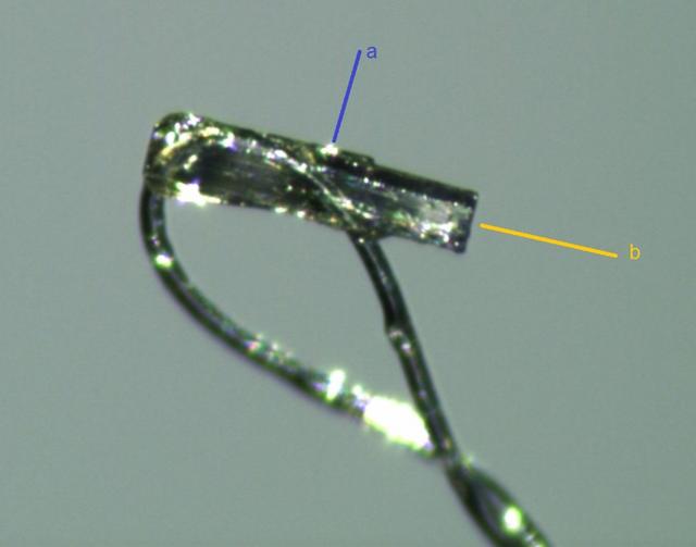 [Figure 5]