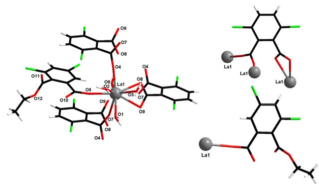 [Figure 4]