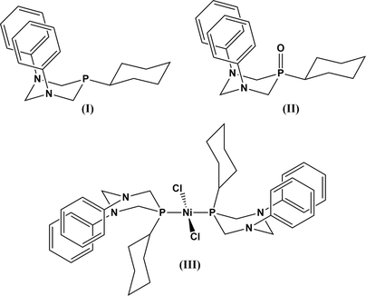 [Scheme 1]