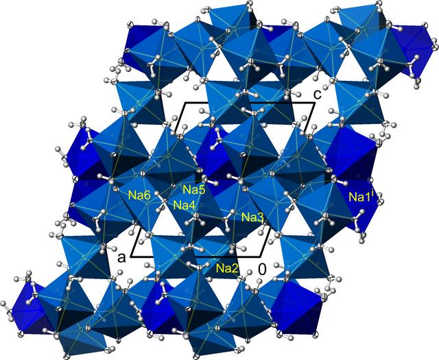 [Figure 6]