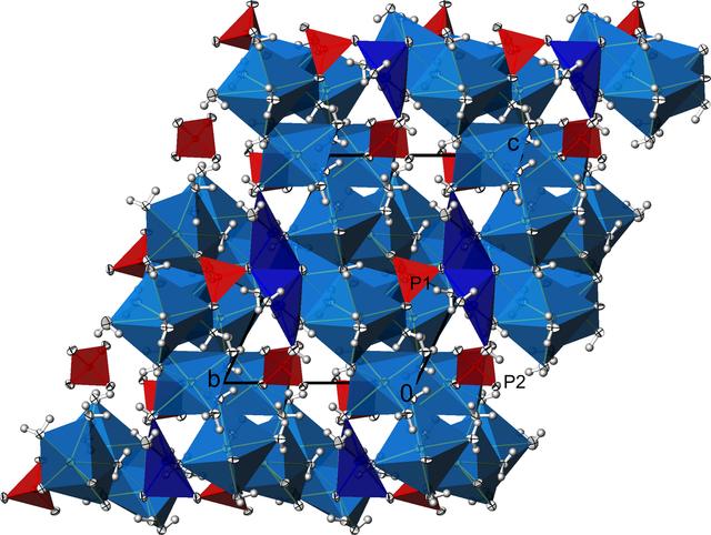 [Figure 7]
