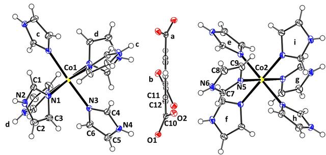 [Figure 1]