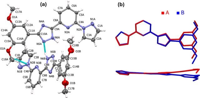 [Figure 1]