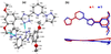 [Figure 1]