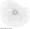 [Figure 2]