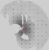 [Figure 1]