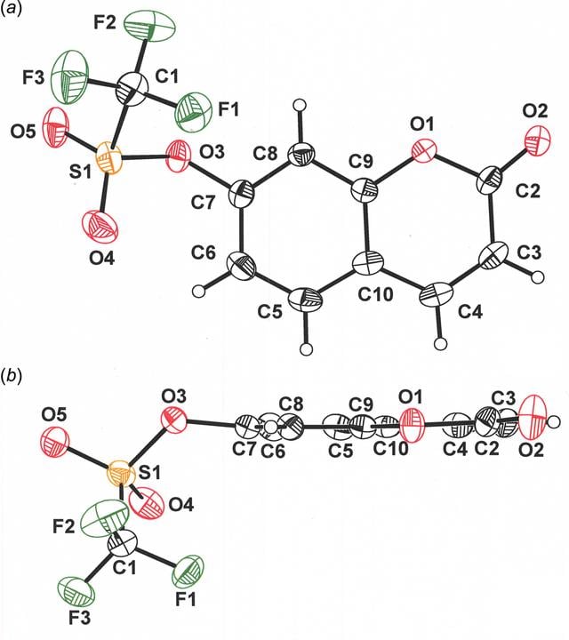 [Figure 1]