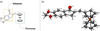 [Figure 1]