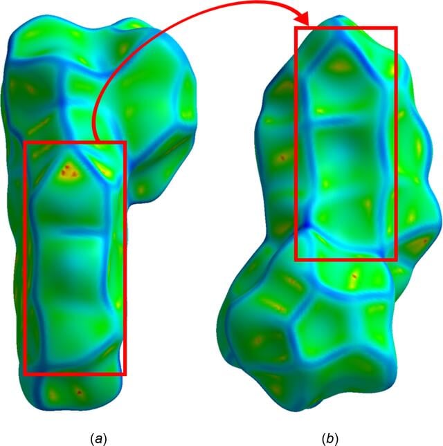 [Figure 6]