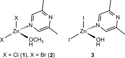 [Scheme 1]