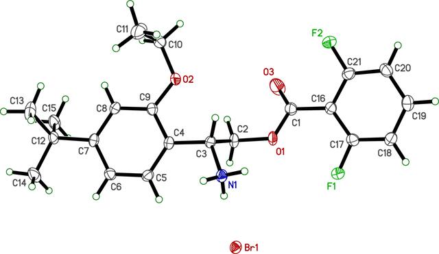 [Figure 1]