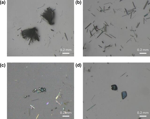[Figure 7]