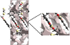 [Figure 7]