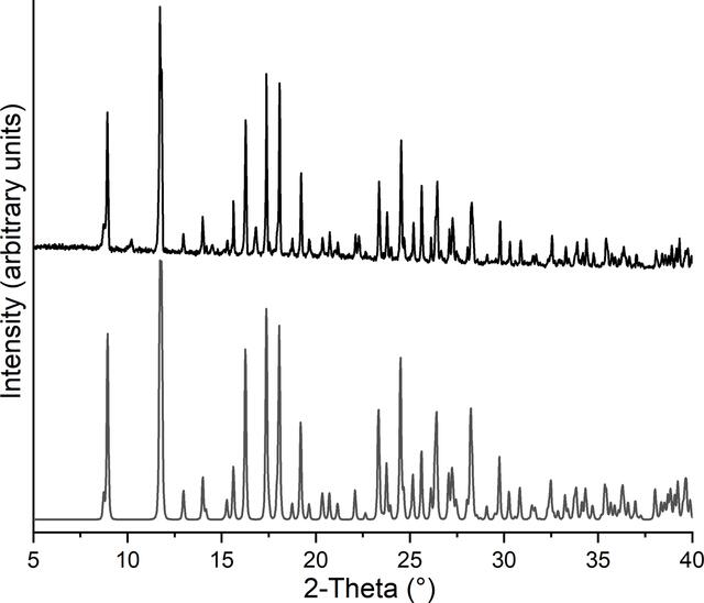 [Figure 6]