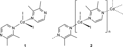 [Scheme 1]
