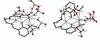 [Figure 1]