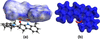 [Figure 5]