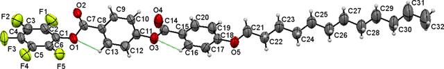 [Figure 1]