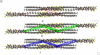 [Figure 7]
