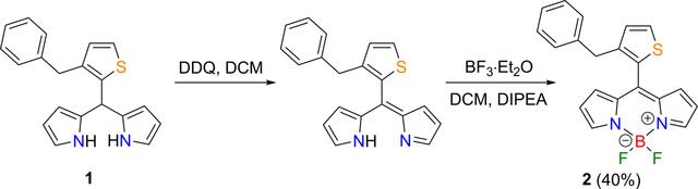 [Figure 1]