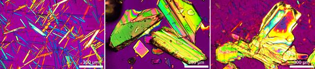 [Figure 3]