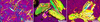 [Figure 3]