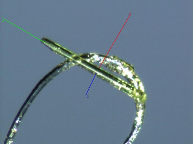 [Figure 5]