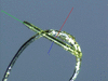 [Figure 5]
