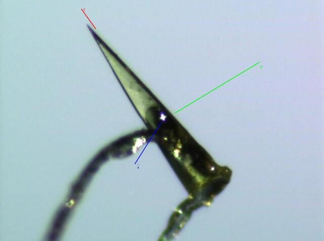 [Figure 7]