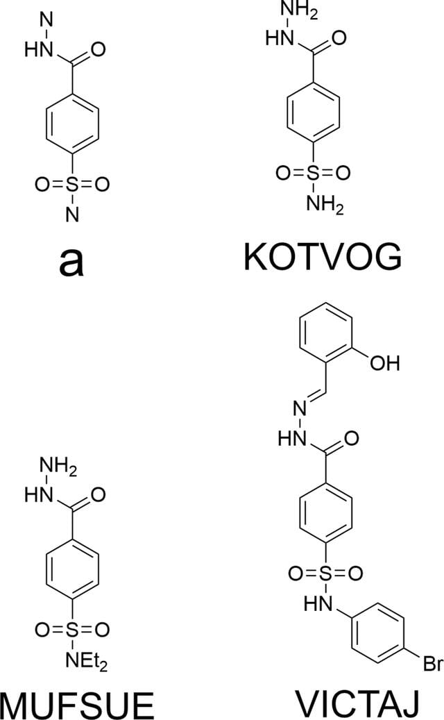 [Figure 4]