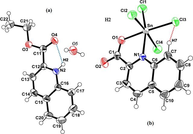 [Figure 1]