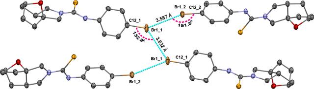 [Figure 8]