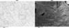 [Figure 6]