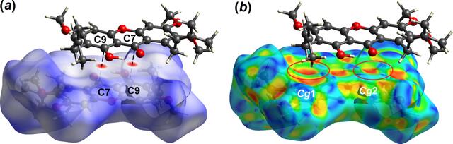 [Figure 4]