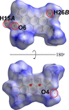 [Figure 5]