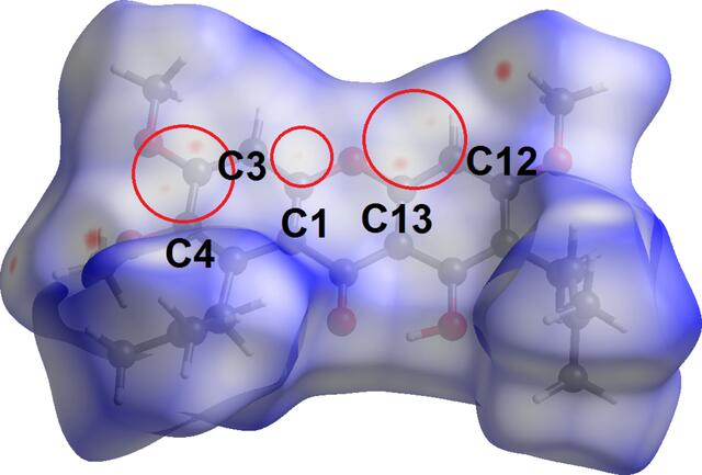 [Figure 6]