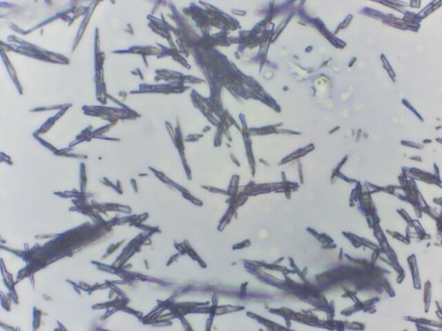 [Figure 7]