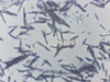 [Figure 7]
