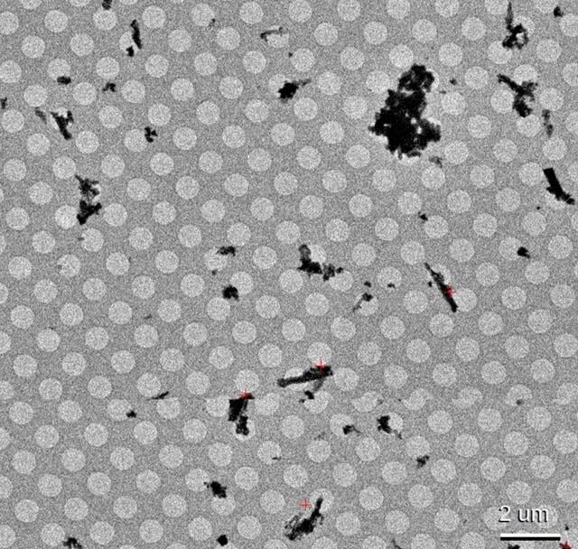 [Figure 4]