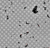 [Figure 4]