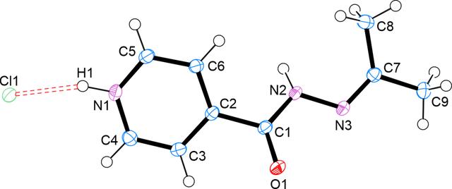 [Figure 1]