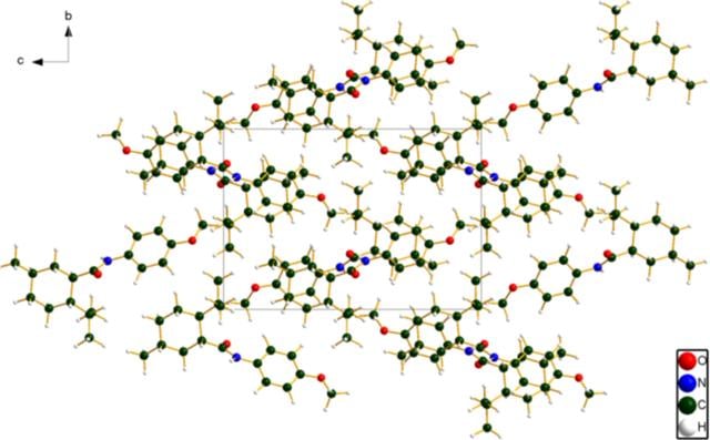 [Figure 5]