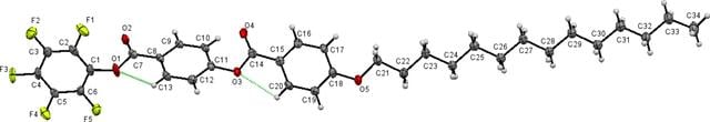 [Figure 1]