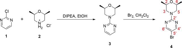 [Figure 1]
