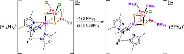 [Figure 4]