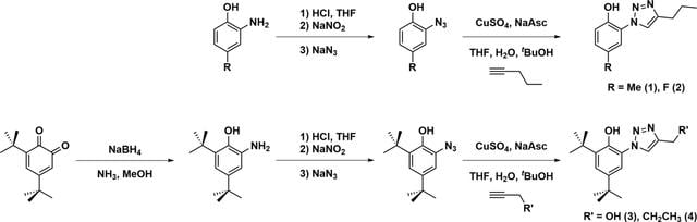 [Figure 1]