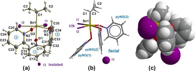 [Figure 1]