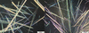 [Figure 7]